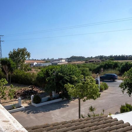 Loft Sin Cocina Y Terraza Conil De La Frontera Bagian luar foto